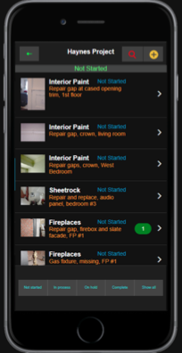 See our construction punch list app example.