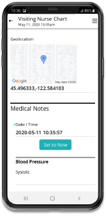 SSVisitingNurseChart02