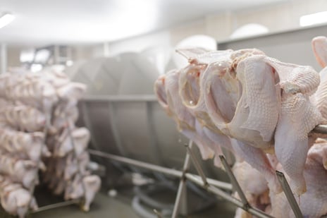 food traceability poultry quality data