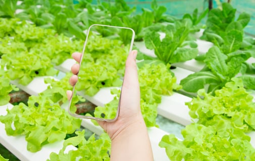 food traceability