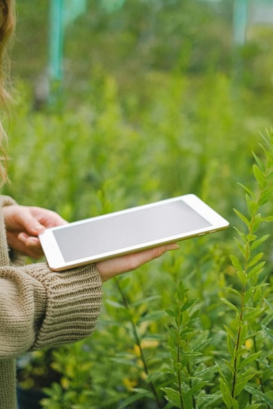 A person collecting plant data in the field with a tablet